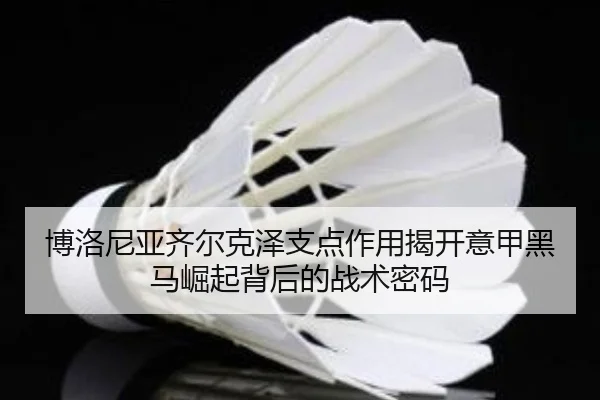博洛尼亚齐尔克泽支点作用揭开意甲黑马崛起背后的战术密码 - leyu