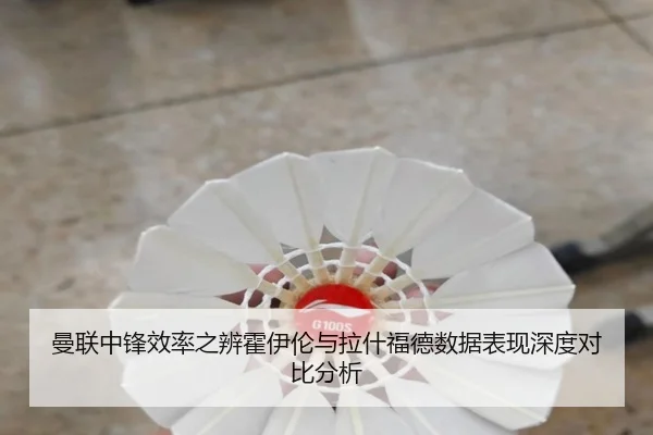 曼联中锋效率之辨霍伊伦与拉什福德数据表现深度对比分析（leyu）