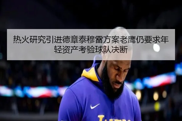 热火研究引进德章泰穆雷方案老鹰仍要求年轻资产考验球队决断（leyu）